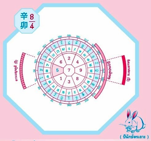 rabbit-2554-2011 เถาะ กระต่าย